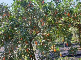 김태남님의 작성글 사진