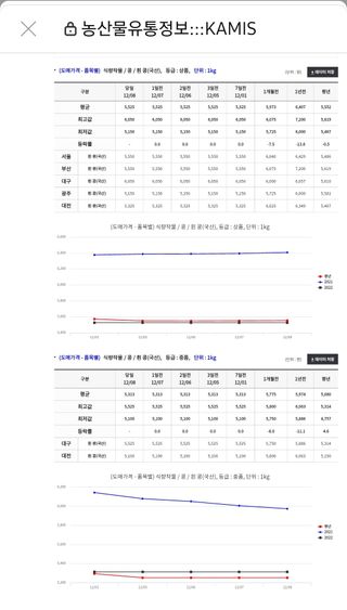 오색땅콩님의 콩 · 자유게시판 작성글 사진