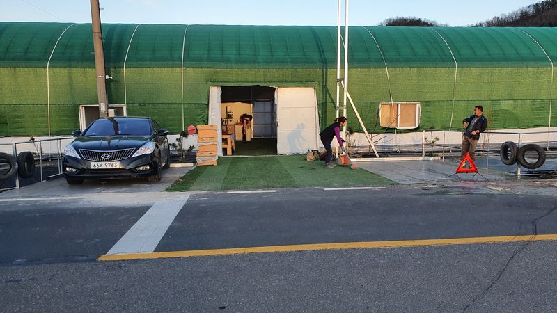 유창남님의 장터 판매 상품 [설향딸기산지직송1K(500g*2팩)] 첨부 사진