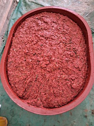 강춘원님의 감자 · 자유게시판 작성글 사진