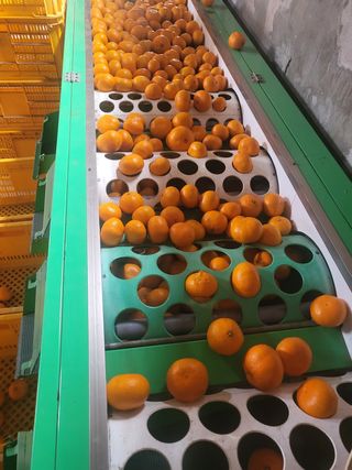 팜모닝회원백현선님의 작성글 사진