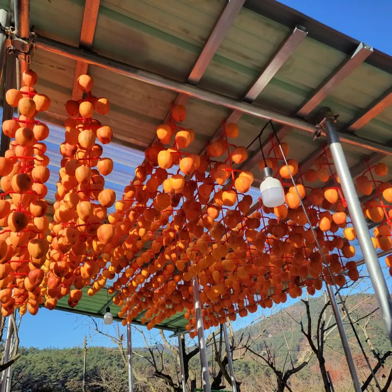 산골촌부님의 장터 판매 상품 [자연건조 대봉곶감 1kg, 자연건조 대봉곶감 선물셑(20개) ] 첨부 사진