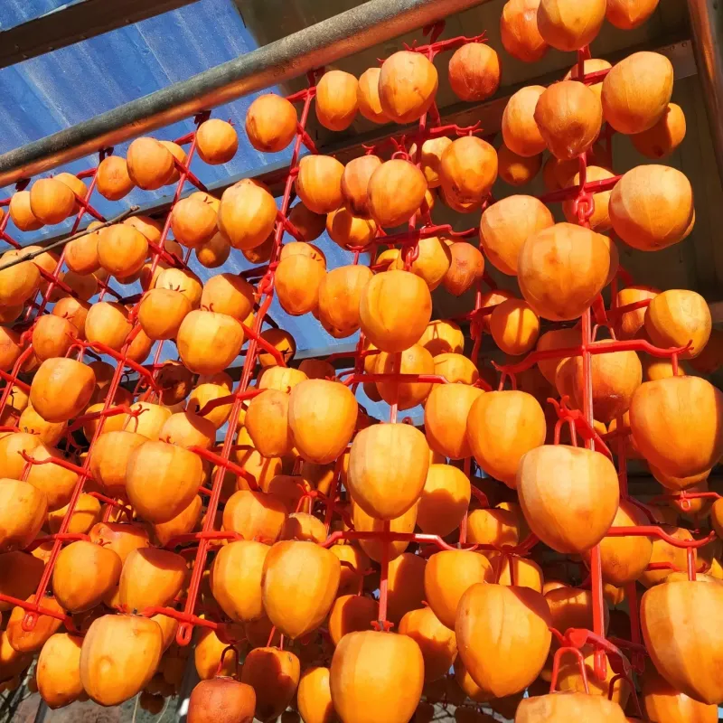 산골촌부님의 장터 판매 상품 [자연건조 대봉곶감 1kg, 자연건조 대봉곶감 선물셑(20개) ] 첨부 사진