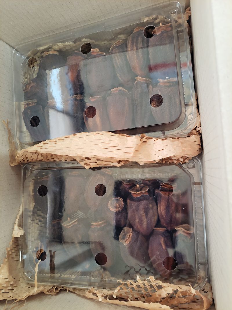 산골촌부님의 장터 판매 상품 [자연건조 대봉곶감 1kg, 자연건조 대봉곶감 선물셑(20개) ] 첨부 사진