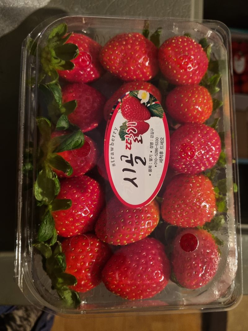 장터 상품 [딸기 ] 썸네일