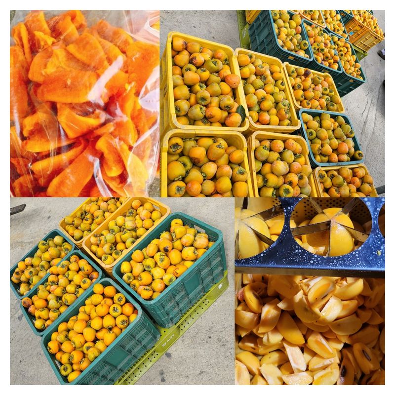 벌꿀농장♡권은주님의 장터 판매 상품 [곶감 반건시 선물세트 ] 첨부 사진