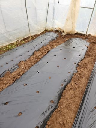 Preotu님의 기타작물 · 자유게시판 작성글 사진