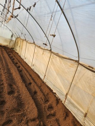 Preotu님의 기타작물 · 자유게시판 작성글 사진