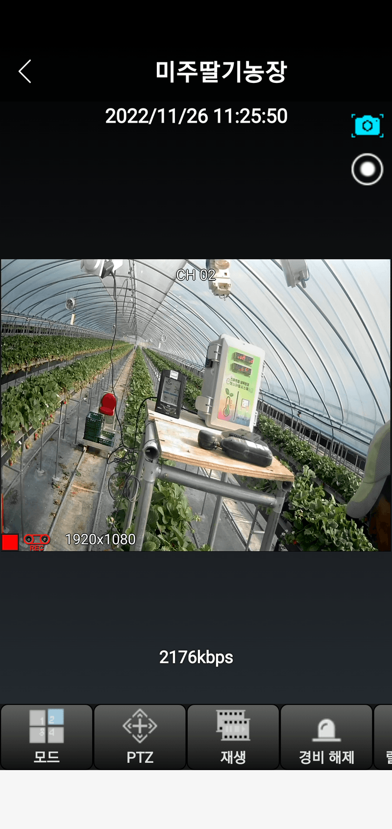 유창남님의 장터 판매 상품 [설향딸기1키로500g2팩] 첨부 사진