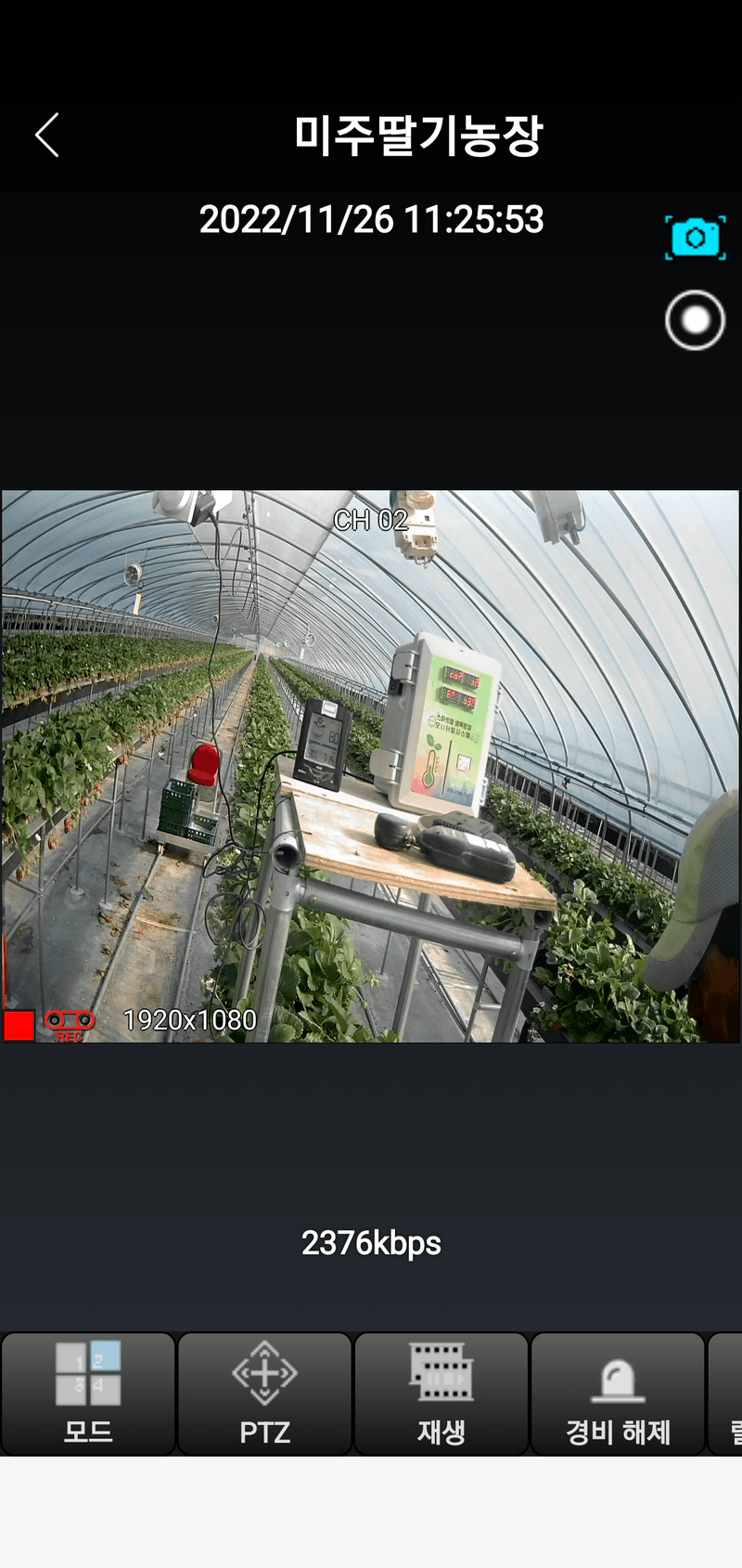 유창남님의 장터 판매 상품 [설향딸기1키로500g2팩] 첨부 사진