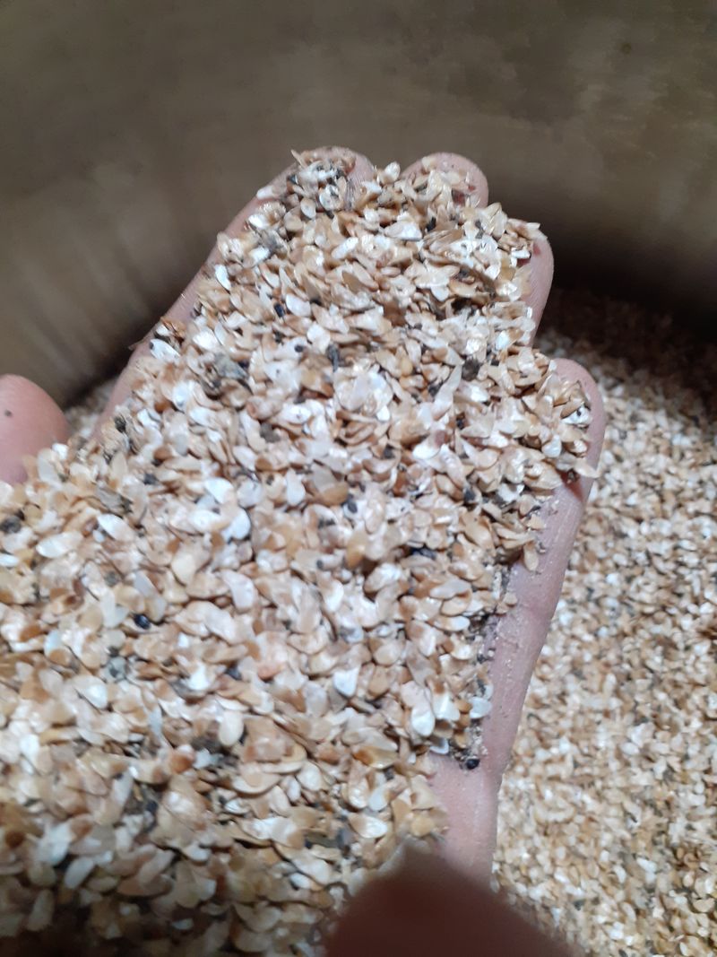 장터 상품 [더덕씨200g] 썸네일