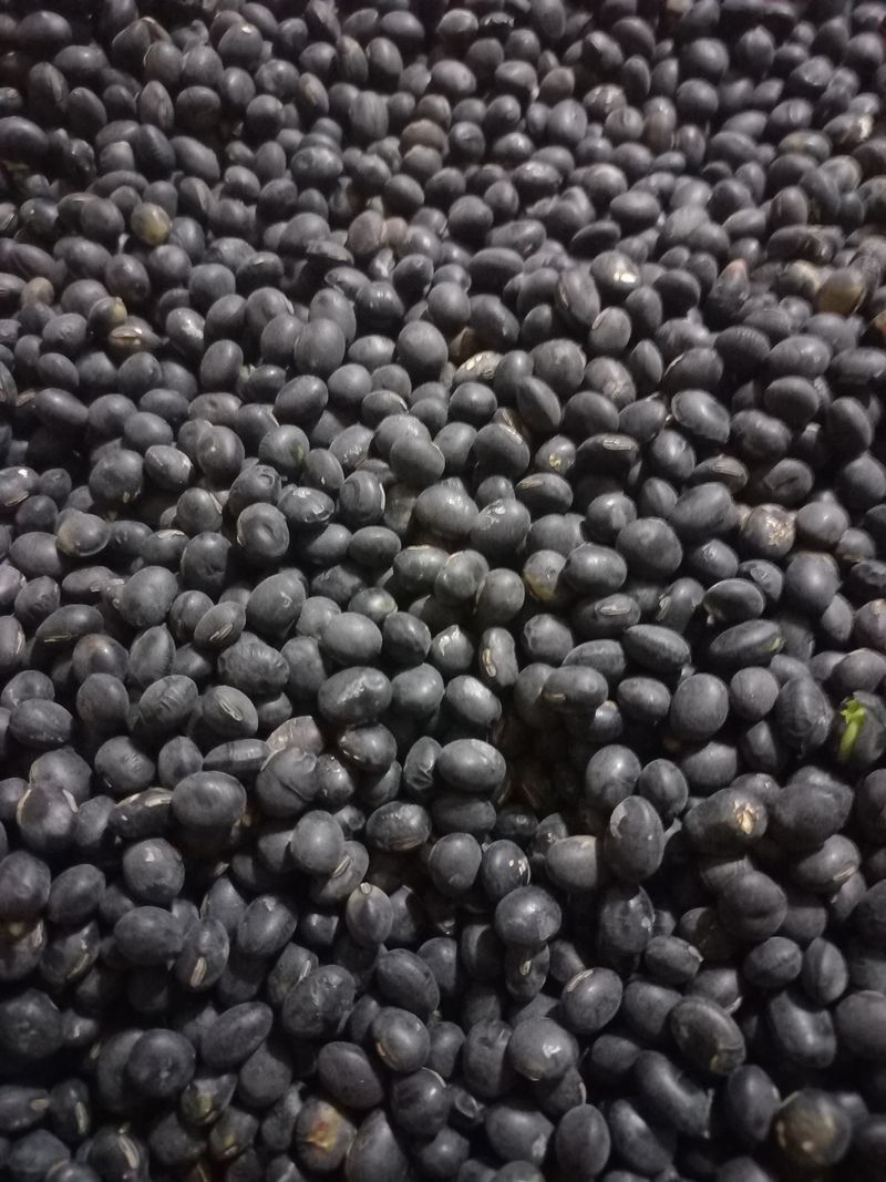 장터 상품 [서리테] 썸네일