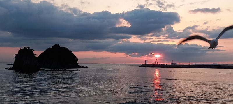 윤충기님의 장터 판매 상품 [📌판매종료📌 토종서리태 8kg한말] 첨부 사진