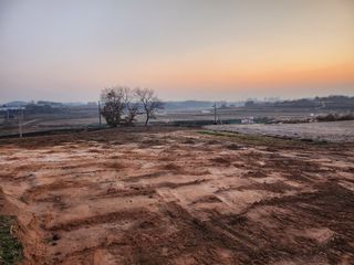 I am 조익성님의 두릅 · 자연재해•동물피해 작성글 사진