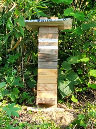 안현아님의 기타작물 · 자유게시판 작성글 사진