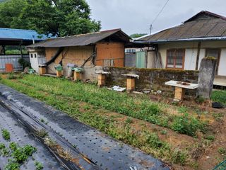 안현아님의 기타작물 · 자유게시판 작성글 사진