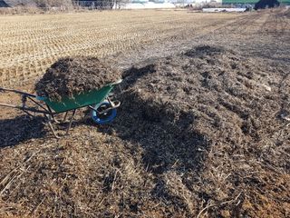 정진해님의 기타작물 · 자유게시판 작성글 사진