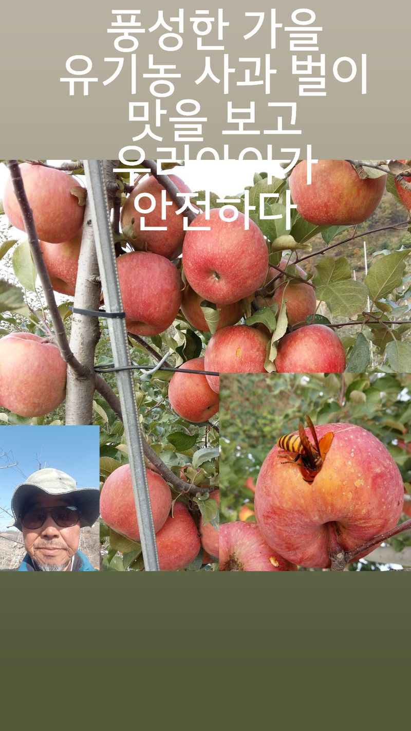 장터 상품 [현명한 소비자는. 착한 농부1명 알고. 있읍 건강먹거리. 큰도움] 썸네일