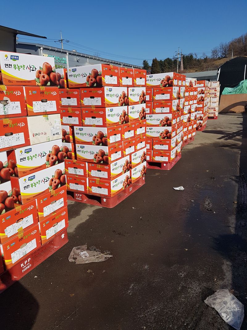 팜뫼닝회웑님의 장터 판매 상품 [현명한 소비자는. 착한 농부1명 알고. 있읍 건강먹거리. 큰도움] 첨부 사진