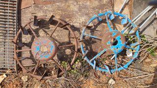 토마토19625님의 작성글 사진