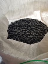 팜모닝 콩·자유게시판 게시글 이미지