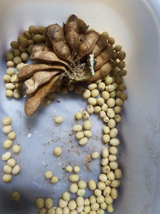 신선고을농원님의 작성글 사진