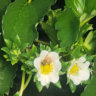 강미향님의 작성글 사진