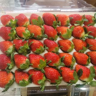 강미향님의 작성글 사진