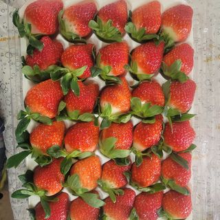 강미향님의 작성글 사진