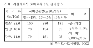 모대나무/김제님의 기타작물 · 병해충상담 작성글 사진