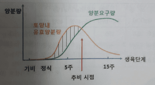 모대나무/김제님의 기타작물 · 병해충상담 작성글 사진