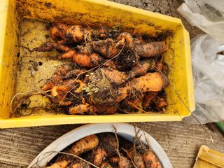 Preotu님의 기타작물 · 자유게시판 작성글 사진