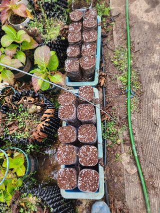 Preotu님의 기타작물 · 자유게시판 작성글 사진