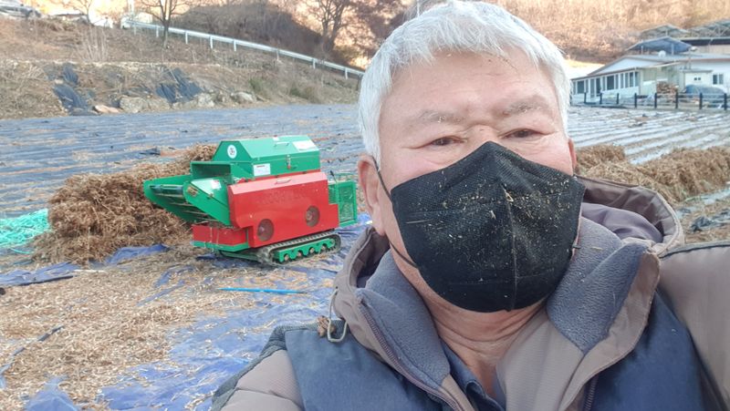 장터 상품 [대풍콩] 썸네일