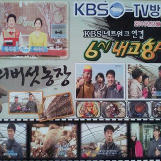 옥수수8238님의 버섯 · 수확 작성글 사진