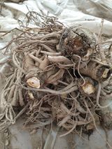 팜모닝 · 게시글 이미지