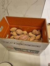 팜모닝 고구마·자유게시판 게시글 이미지