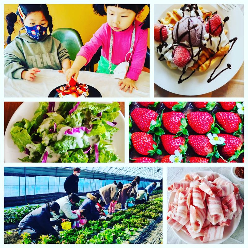 장터 상품 [농촌체험] 썸네일