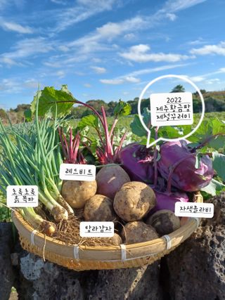 황금미(제주황금팜)님의 작성글 사진