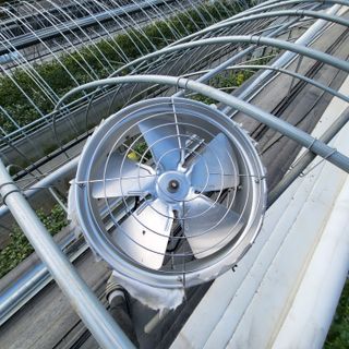 미소팜님의 작성글 사진