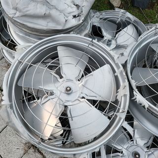 미소팜님의 작성글 사진