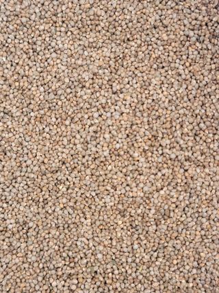 다둥이네농장님의 작성글 사진