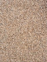 팜모닝 장터이야기·자유게시판 게시글 이미지