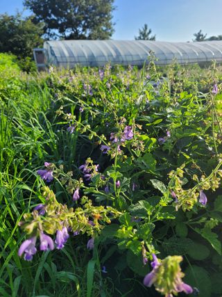김상훈님의 기타작물 · 자유게시판 작성글 사진