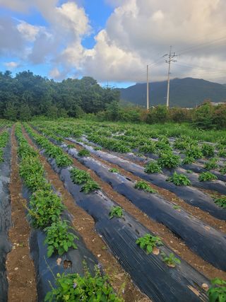 김상훈님의 기타작물 · 자유게시판 작성글 사진