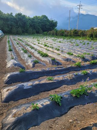 김상훈님의 기타작물 · 자유게시판 작성글 사진
