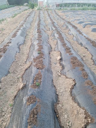 김상훈님의 기타작물 · 자유게시판 작성글 사진