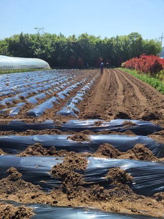 김상훈님의 기타작물 · 자유게시판 작성글 사진