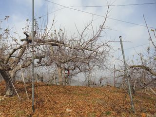 이훈희님의 사과 · 일상 작성글 사진