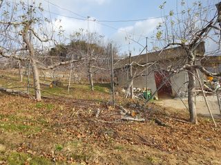 이훈희님의 사과 · 일상 작성글 사진